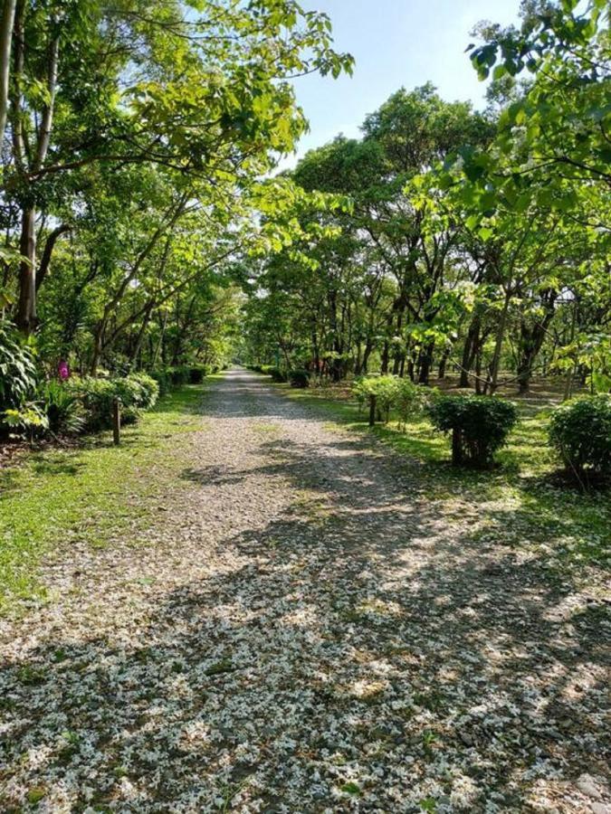花蓮金澤居民宿樹窩民宿御安居民宿寵物友善 Ji'an Dış mekan fotoğraf