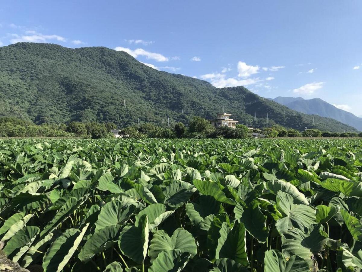 花蓮金澤居民宿樹窩民宿御安居民宿寵物友善 Ji'an Dış mekan fotoğraf
